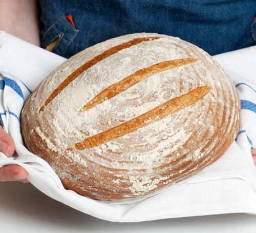 Sourdough Bread Starter